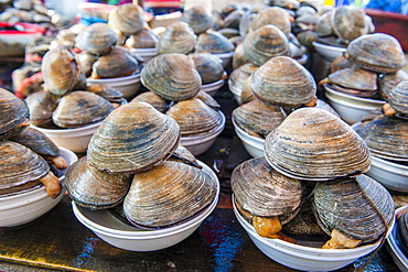 Mussels for sale at the fish market in Busan, South Korea, Asia