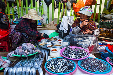 Fish for sale in the fish market of Busan, South Korea, Asia