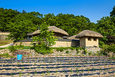 Field in front of traditional wooden houses in the Yangdong folk village near Gyeongju, South Korea, Asia