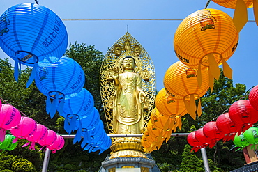 Colourful paper lanterns in front of a golden Buddha in the  fortress of Suwon, UNESCO World Heritage Site, Suwon, South Korea, Asia