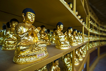 Buddha collection under the Golden Maitreya Statue, Beopjusa Temple Complex, South Korea, Asia