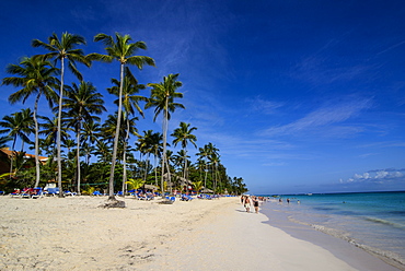 Beach of Bavaro, Punta Cana, Dominican Republic, West Indies, Caribbean, Central America