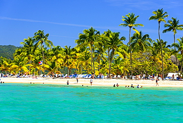 Baccardi island, Cayo Levantado, Samana, Dominican Republic, West Indies, Caribbean, Central America