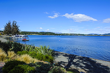 The shores Lake of Te Anau in Te Anau, Fiordland National Park, UNESCO World Heritage Site, South Island, New Zealand, Pacific