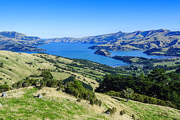 Beautiful scenery around Akaroa harbour, Banks Peninsula, Canterbury, South Island, New Zealand, Pacific