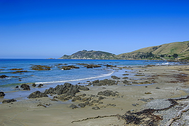 The Catlins, South Island, New Zealand, Pacific