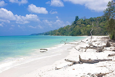 Silver sand beach with turquoise sea, Havelock Island, Andaman Islands, India, Indian Ocean, Asia