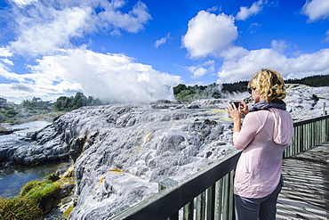 Woman looking at a Geysirfield  in the Te Puia Maori Cultural Center, Rotorura, North Island, New Zealand, Pacific