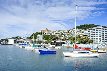 Little boats in the harbour of Wellington, North Island, New Zealand, Pacific