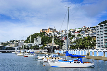 Little boats in the harbour of Wellington, North Island, New Zealand, Pacific