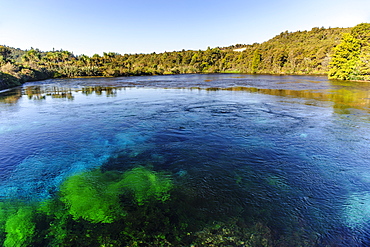 Te Waikoropupu springs declared as clearest fresh water springs in the world, Takaka, Golden Bay, Tasman Region, South Island, New Zealand, Pacific