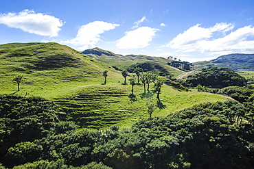 Beautiful green scenery behind Wharariki Beach, South Island, New Zealand, Pacific