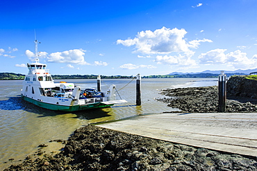 Ferry in the Hokianga harbour, Northland, North Island, New Zealand, Pacific