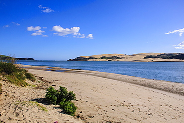 Lonely beach in the Arai-Te-Uru Recreation Reserve south end of Hokianga harbour, Westcoast Northland, North Island, New Zealand