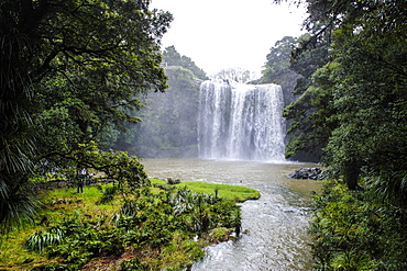 Whangarai Falls, North Island, New Zealand, Pacific