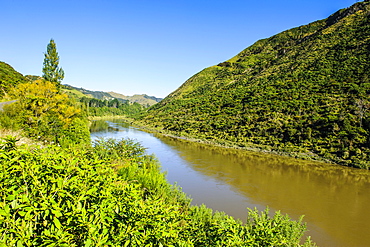 View over the Whanganui River in the lush green countryside, Whanganui River road, North Island, New Zealand, Pacific