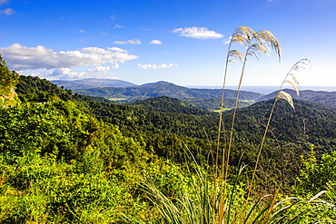 View over mountains of Karamea, West Coast, South Island, New Zealand, Pacific