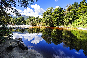 Trees reflecting in the water, Mirror Tarn, Oparara Basin, Karamea, West Coast, South Island, New Zealand, Pacific