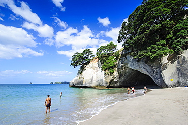 Cave as an entrance to the beautiful Cathedral Cove, Coromandel, North Island, New Zealand, Pacific