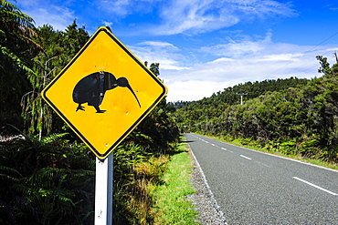 Kiwi warning sign along the road between Fox Glacier and Greymouth, South Island, New Zealand, Pacific 