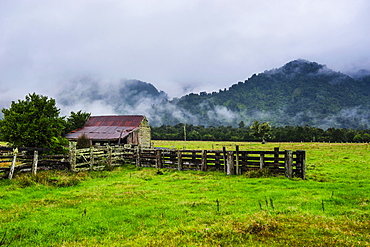 Old farm in a moody atmosphere, West Coast around Haast, South Island, New Zealand, Pacific 