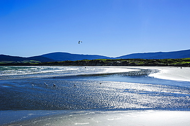 Te Waewae Bay, along the road from Invercargill to Te Anau, South Island, New Zealand, Pacific 