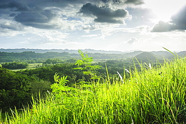 Chocolate Hills, Bohol, Philippines, Southeast Asia, Asia