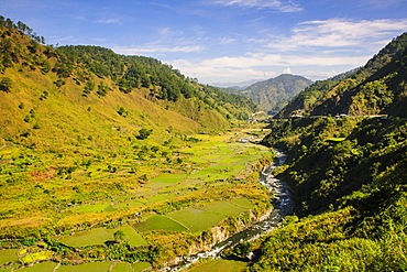 Along the rice terraces from Bontoc to Banaue, Luzon, Philippines, Southeast Asia, Asia