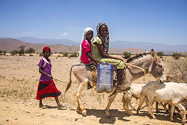 Children riding on a donkey to a waterhole in the lowlands of Eritrea, Africa