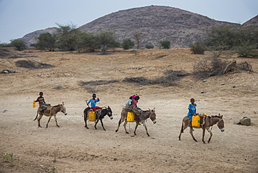 Young kids riding on donkeys to a water hole in the lowland of Eritrea, Africa