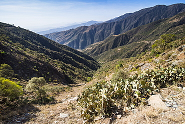 Filfil, only rainforest area in Eritrea, Africa