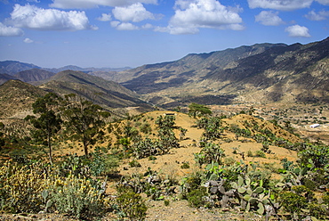 Mountain scenery along the road from Massawa to Asmara, Eritrea, Africa