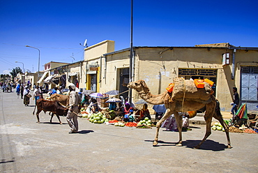 Market in Adi Keyh, Eritrea, Africa