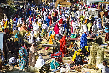 Women selling their goods at the colourful Monday market of Keren, Eritrea, Africa