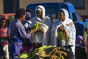 Orthodox dressed woman buying vegetables, Asmara, capital of Eritrea, Africa