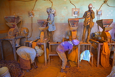 Women working in a Berbere red pepper spice factory at the Medebar market, Asmara, capital of Eritrea, Africa