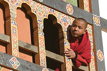 Young Buddhist monk at window, Gangte Goempa, Bhutan, Asia