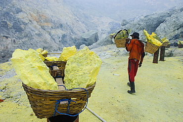 Worker carrying fully loaded baskets of sulphur out of the Ijen Volcano, Java, Indonesia, Southeast Asia, Asia