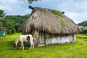 Traditional house on the Coral Coast, Viti Levu, Fiji, South Pacific, Pacific