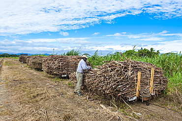 Sugar cane train, Coral Coast, Fiji, South Pacific, Pacific