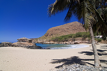 Sand beach with palms and rocks, Tarrafal, Santiago, Cape Verde Islands, Atlantic, Africa 