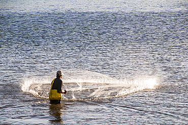 Man netfishing in the harbour of Apia, Upolu, Samoa, South Pacific, Pacific