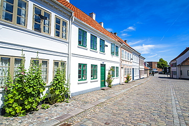 Old precinct of Odense, Funen, Denmark, Scandinavia, Europe