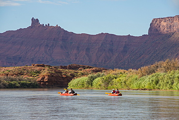 Couples kayaking  down the Colorado River, Castle Valley near Moab, Utah, United States of America, North America