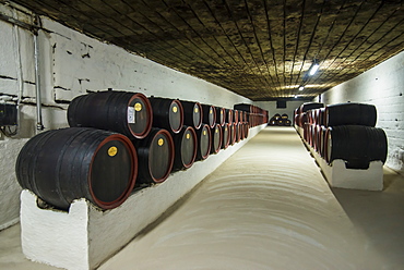 Huge barrels of wine in the cellars of Cricova, one of the largest wineries of the world, Moldova, Europe