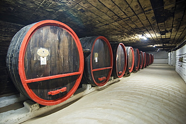 Huge barrels of wine in the cellars of Cricova, one of the largest wineries of the world, Moldova, Europe