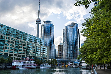 The CN Tower behind high rise buildings in downtown Toronto, Ontario, Canada, North America