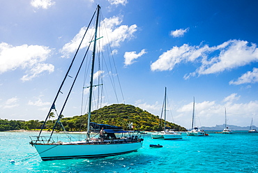 Sailing boats anchoring in the Tobago Cays, The Grenadines, St. Vincent and the Grenadines, Windward Islands, West Indies, Caribbean, Central America