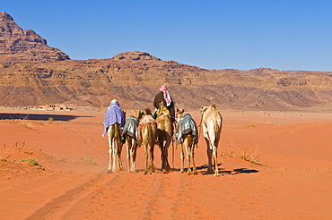 Camel caravan in the stunning desert scenery of Wadi Rum, Jordan, Middle East