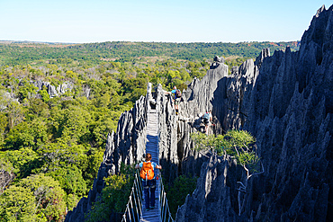 Tsingy de Bemaraha National Park, UNESCO World Heritage Site, Melaky Region, Western Madagascar, Africa